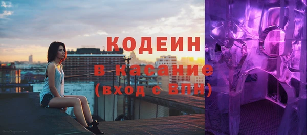 индика Бородино