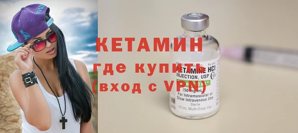 индика Бородино
