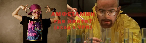 индика Бородино