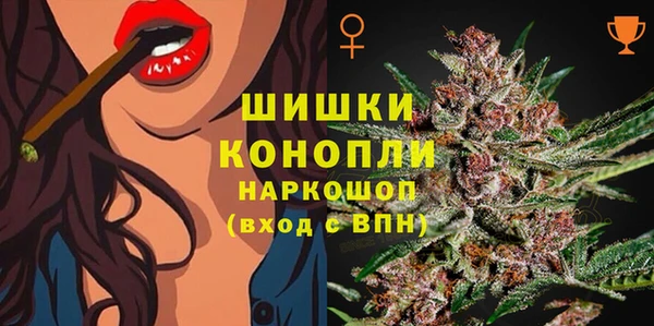 винт Бронницы