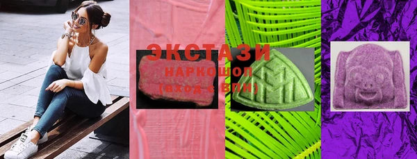 индика Бородино