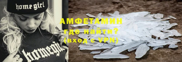 индика Бородино